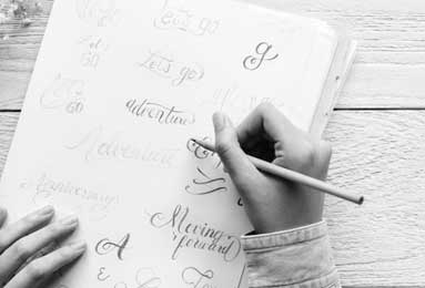 集中值机制、猎人印记平衡与宠物清晰度——《午夜》版本猎人的必备需求